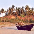 Outrigger Boot in Goa