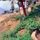 Outside of Trashigang, look what grows up at the foreground