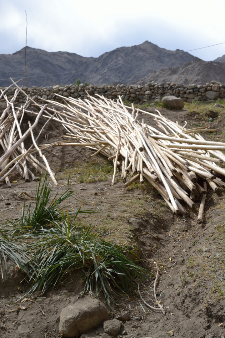 Outskirts of Leh