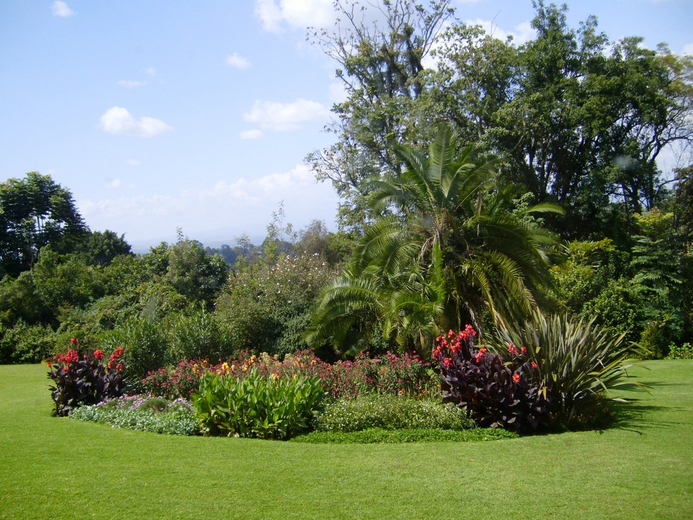 Outspan Hotel Garden