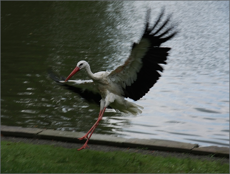 "Ouuupssss - Fotografen" !