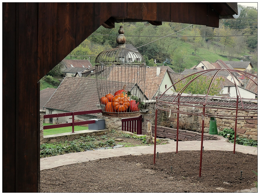 Ouvrez, ouvrez la cage aux ......