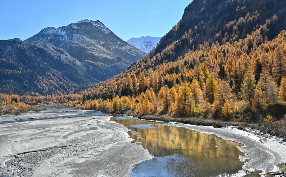 Ova da Bernina