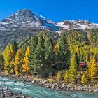 Ova da Bernina im Herbstkleid (Pano)