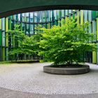 Oval Office Köln