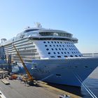 Ovation of the Seas