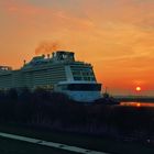 Ovation of the Seas in der Abendsonne