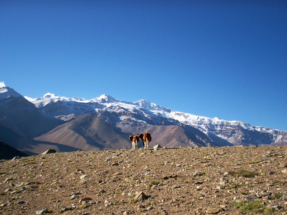 Over Mountains