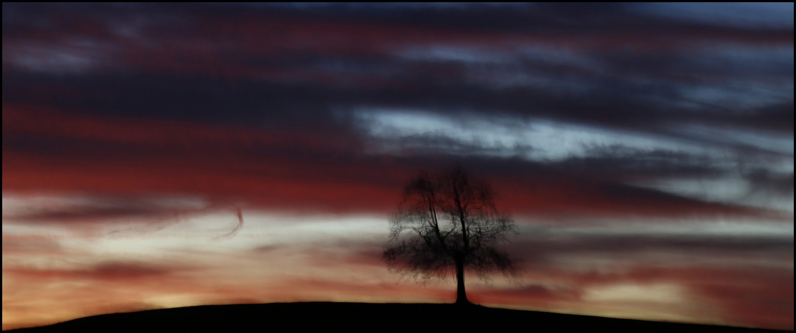 *over our heads* Foto & Bild wolken, baum, licht Bilder auf