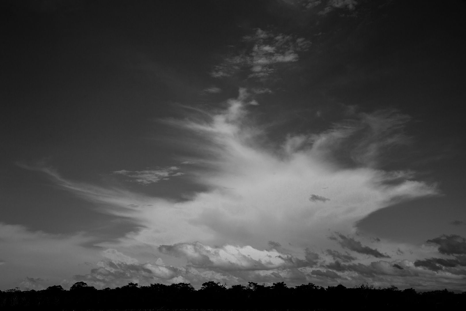 over the Amazon Jungle