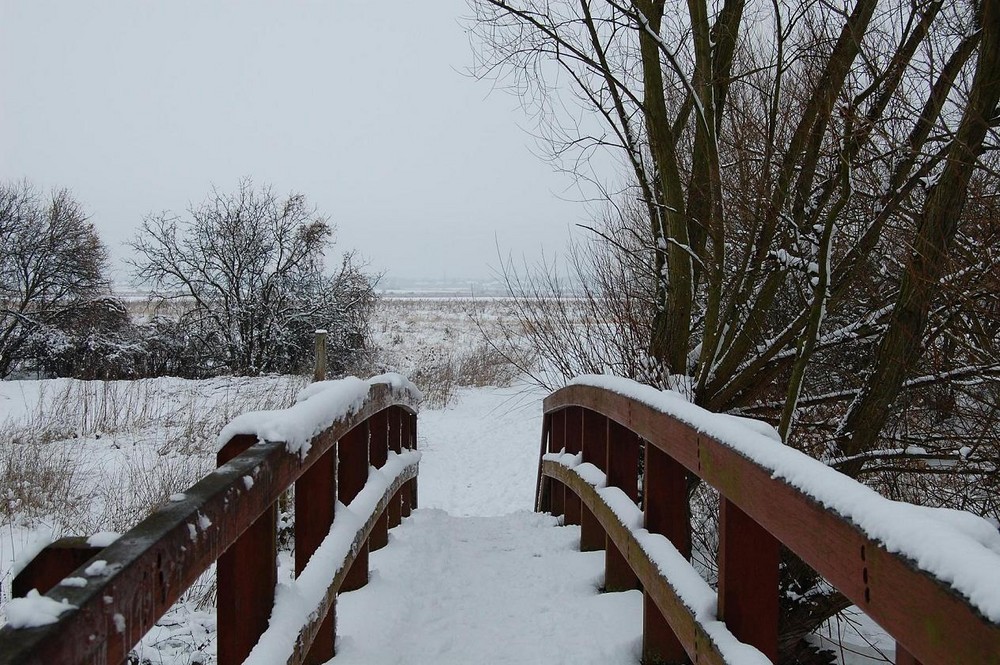 over the bridge and into the snow!