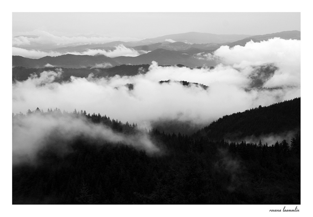 over the clouds in b/w