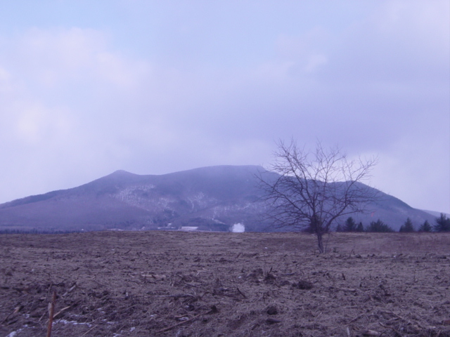 Over the Corn Filed