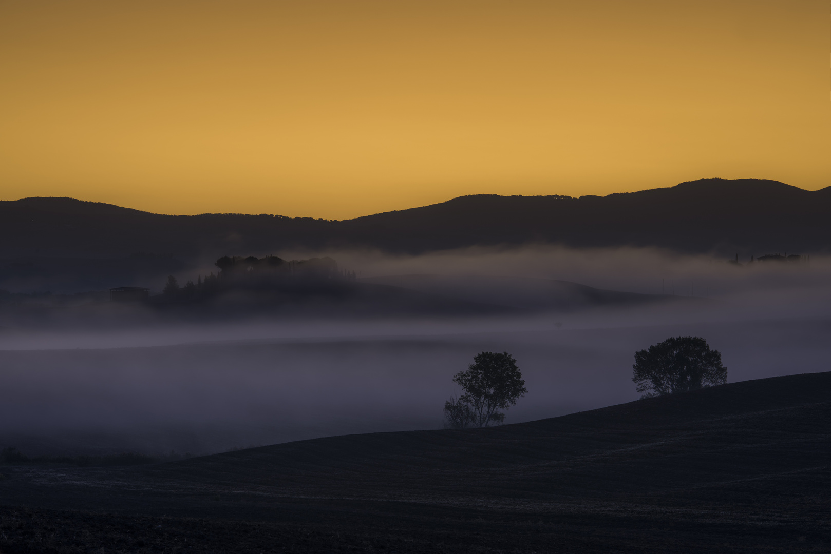 Over the fog