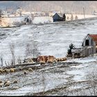 Over the mountain hills in Romania