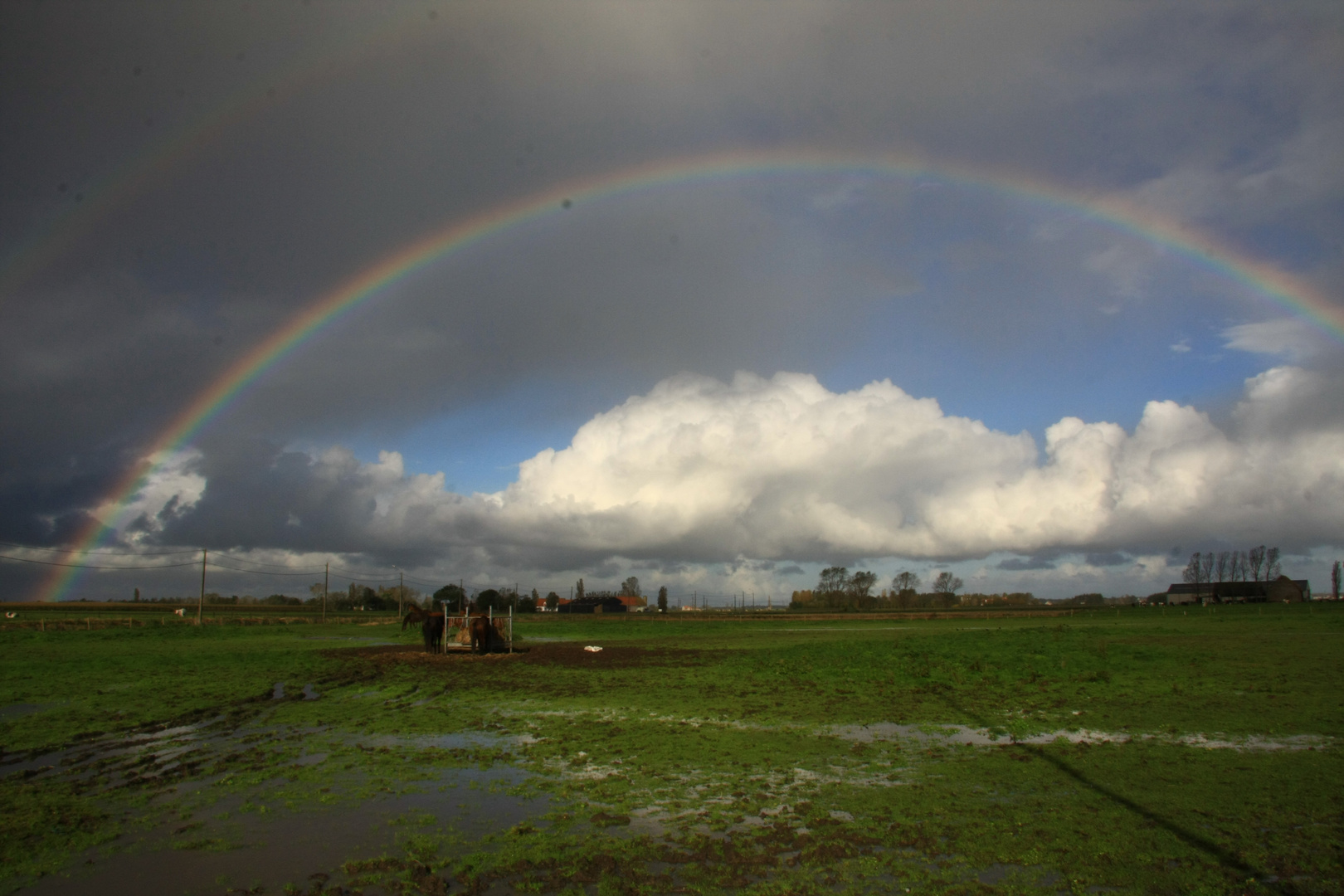 over the rainbow