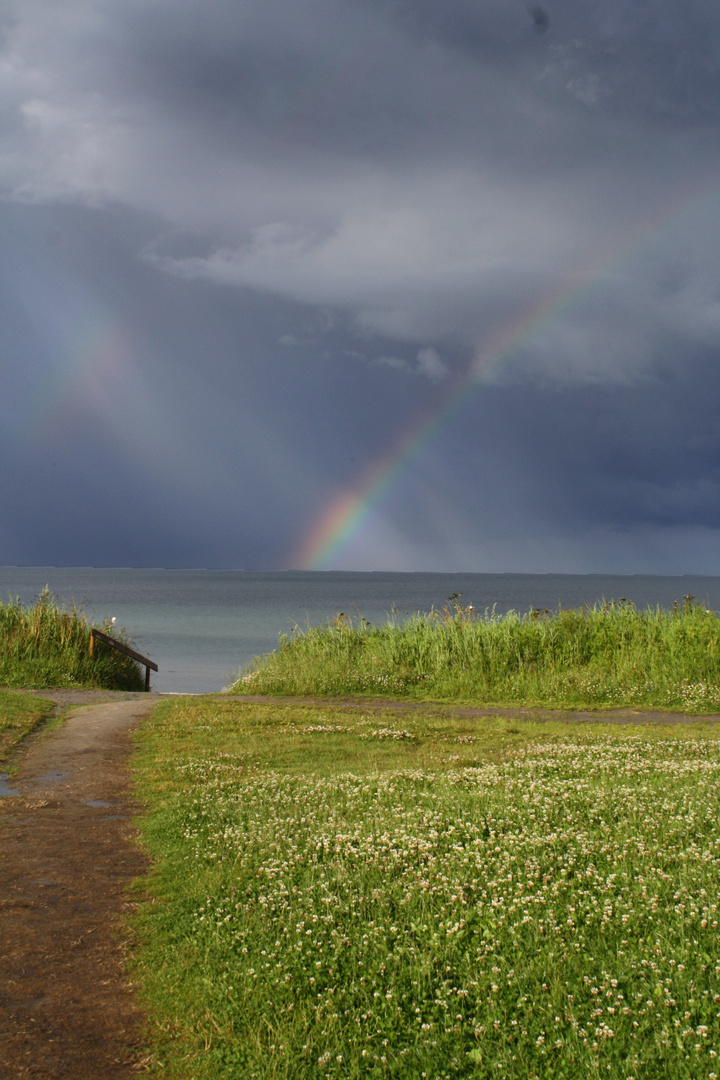 over the rainbow