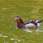 Over the rainbow...Mandarin!