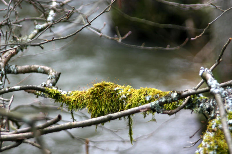 over the river