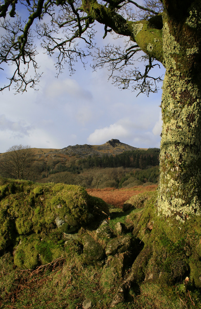 Over the wall to Leather Tor