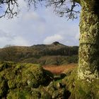 Over the wall to Leather Tor