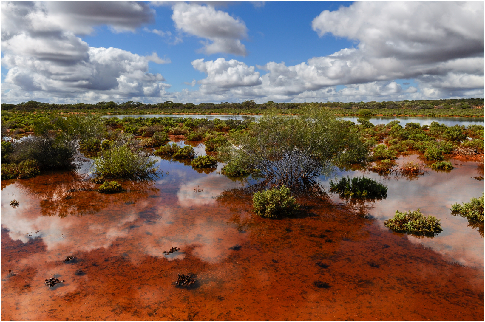 Overflow Area, Westaustralien - 2008