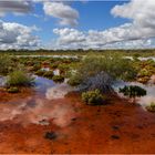 Overflow Area, Westaustralien - 2008