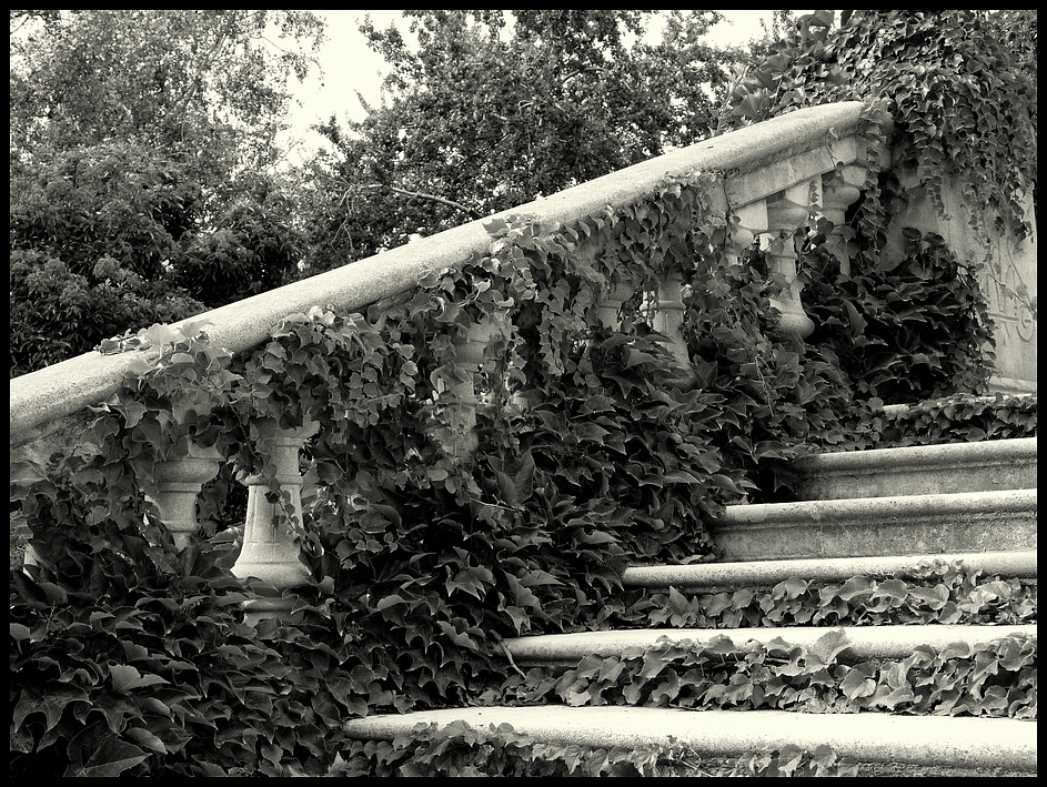 Overgrown Stairs