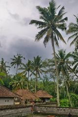 Overland near Ubud