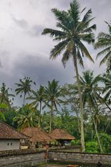 Overland near Ubud