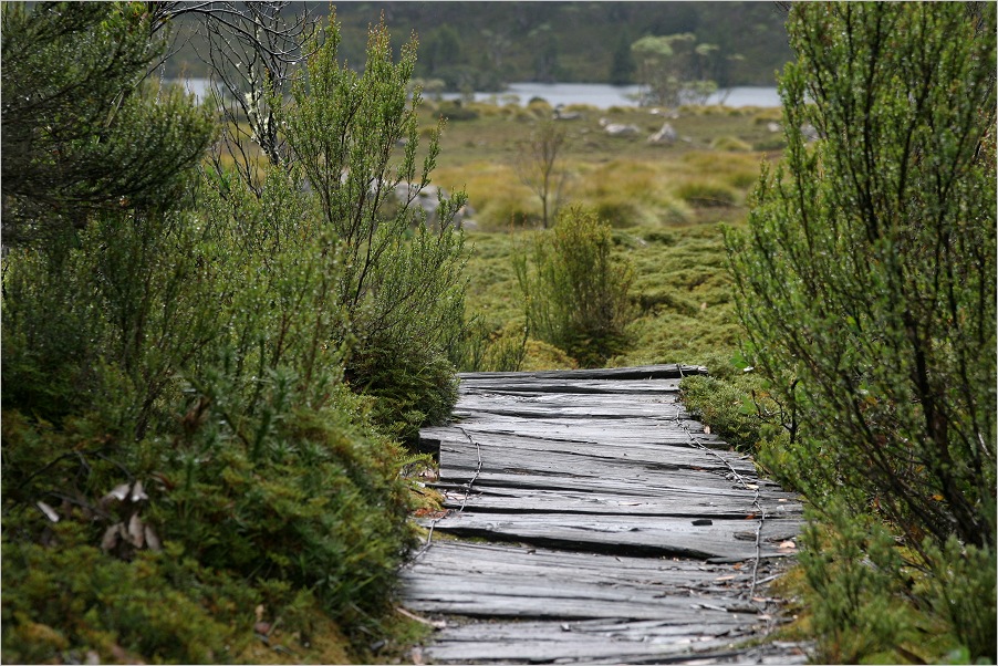 Overland Track