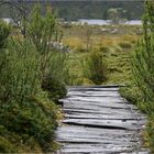 Overland Track