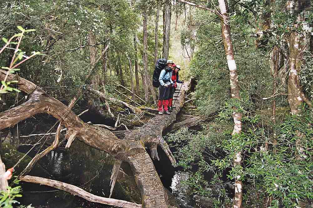 Overland Track 4