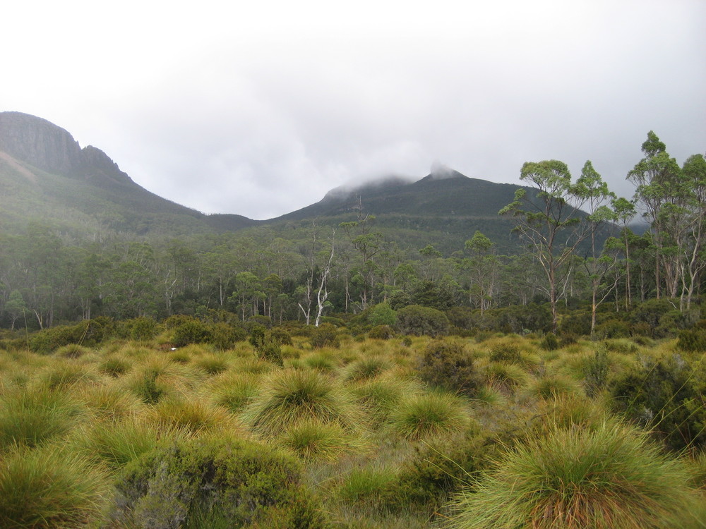 Overland Track - Tasmanien