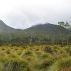 Overland Track - Tasmanien