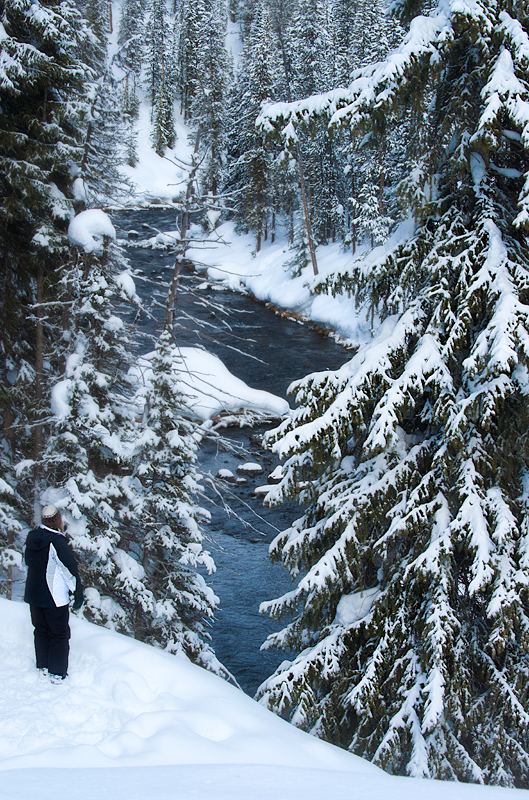 Overlook at Moose Falls