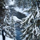 Overlook at Moose Falls