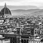 Overlooking Florence