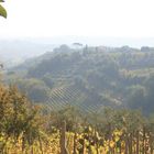 Overlooking the vineyards of Tuscany