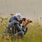User Profile Photo
