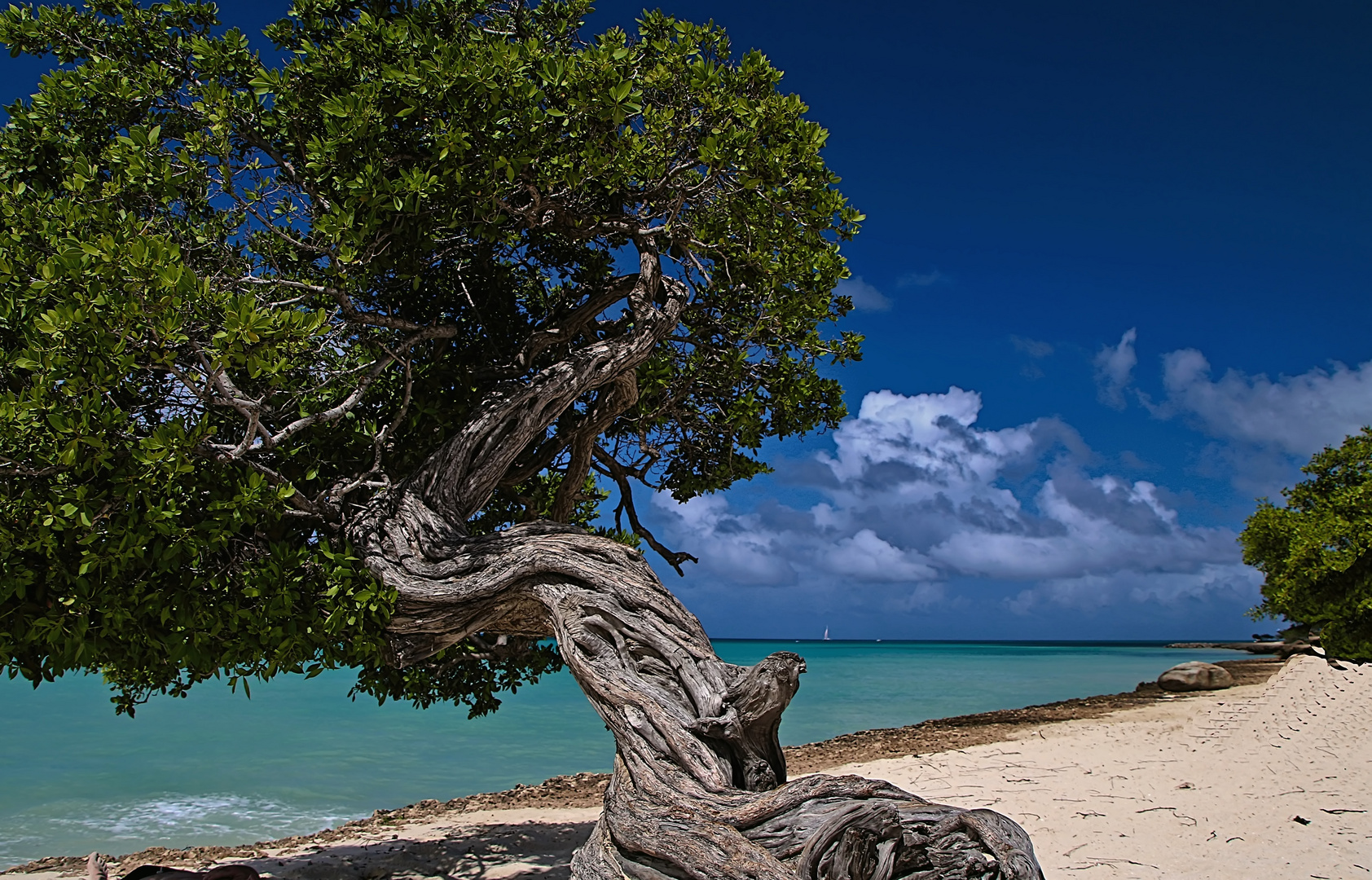 Overview of Caribbean - Motiv vom Weltenbummler