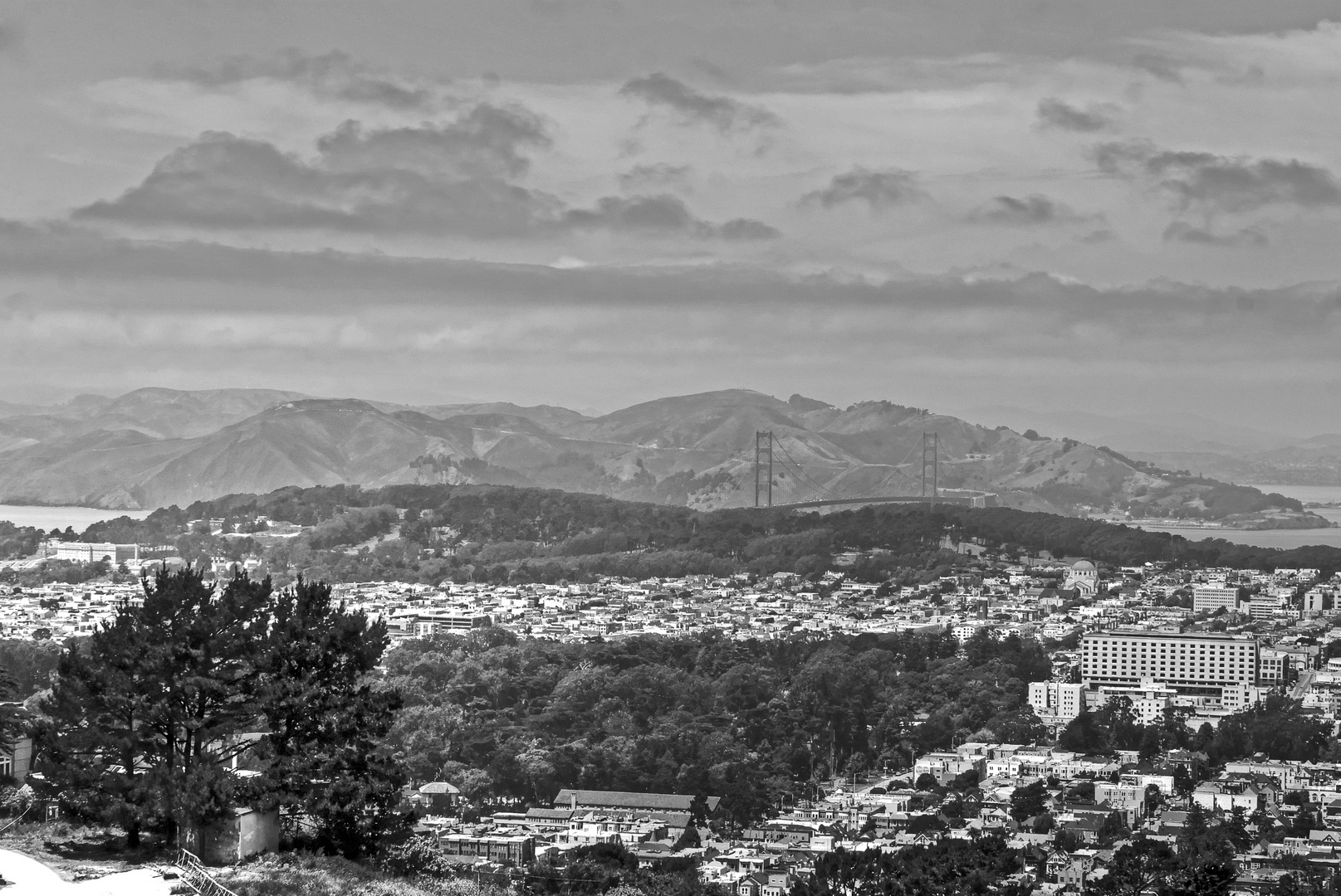 Overview of San Francisco