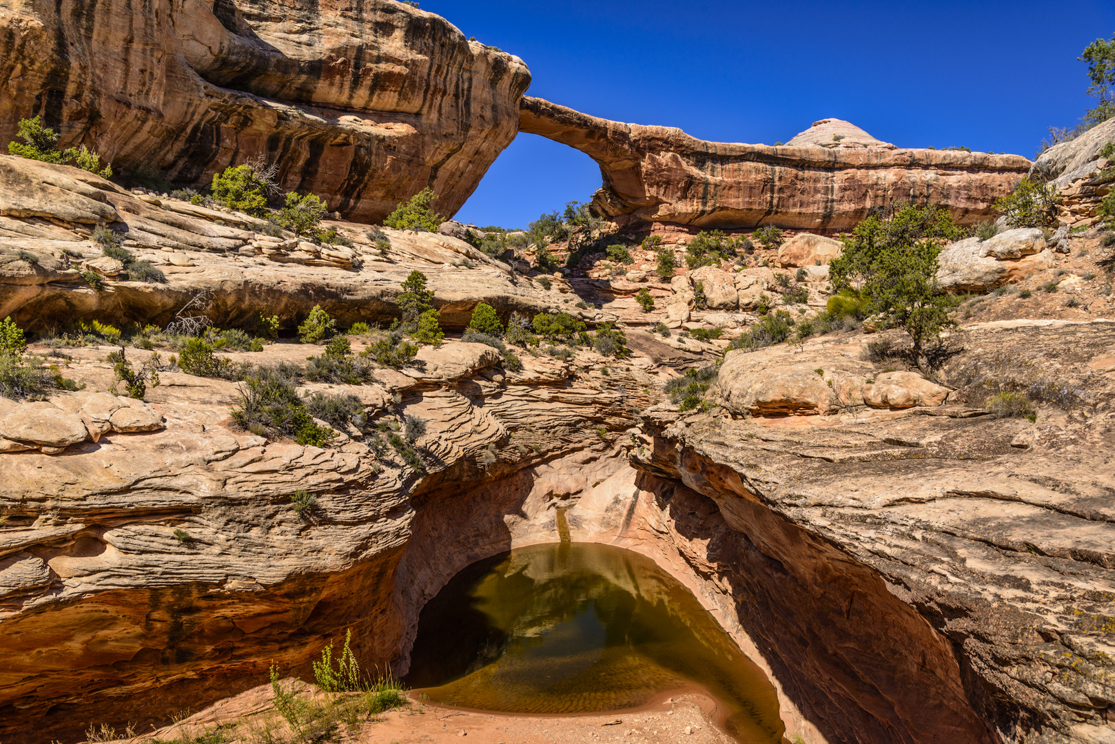 Owachomo Bridge, Natural Bridges National Monument, Utah, USA Foto & Bild natur, landschaft