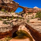 Owachomo Bridge, Natural Bridges National Monument, Utah, USA