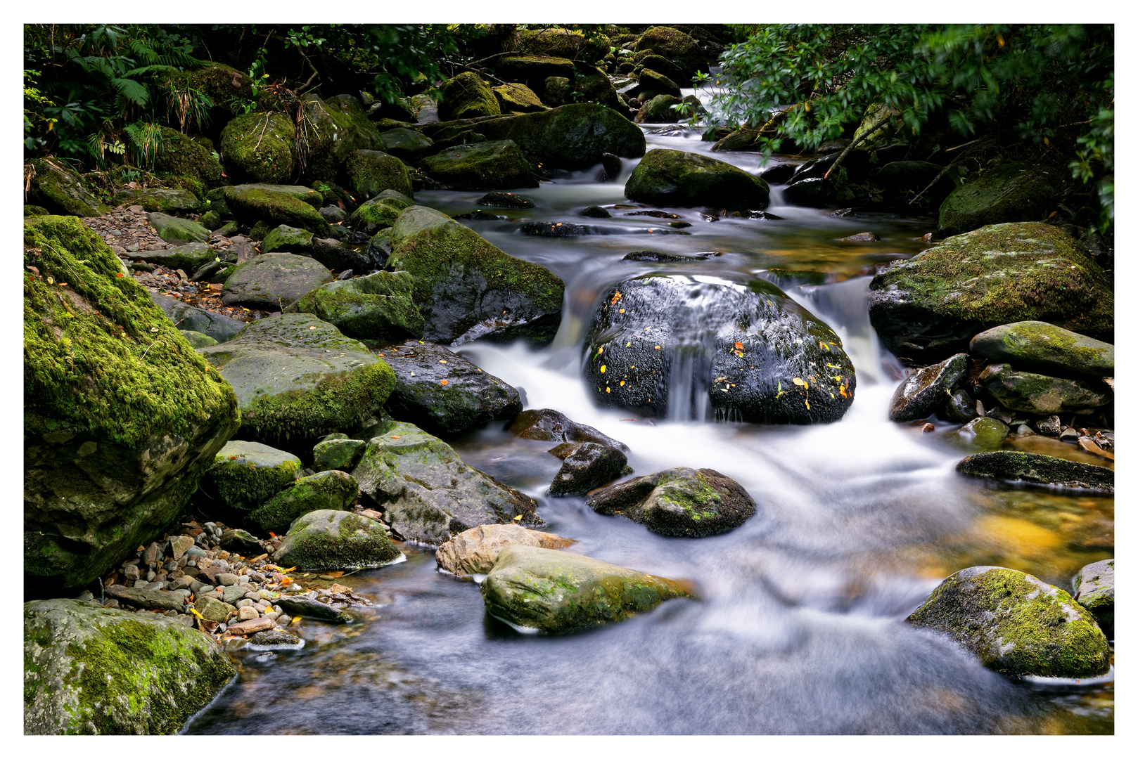 Owengarriff River