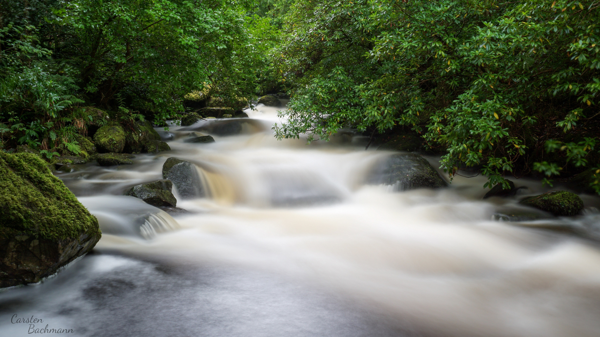 Owengarriff River, Killarney, Irland.