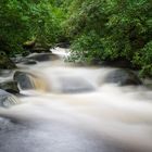 Owengarriff River, Killarney, Irland.