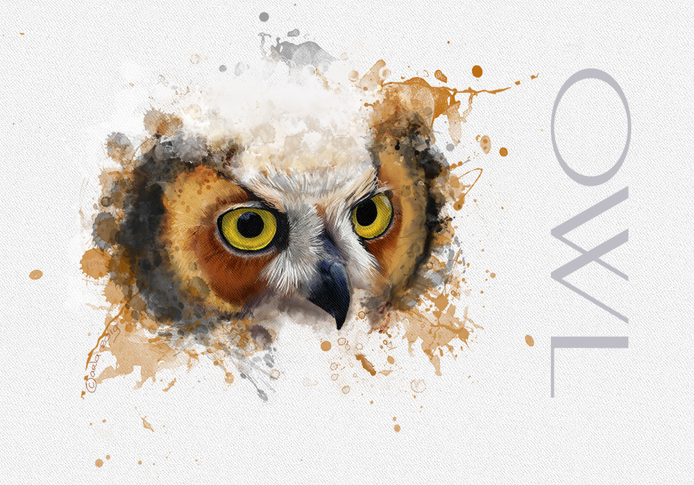 Owl aquarel