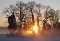 OWL im Nebel 2