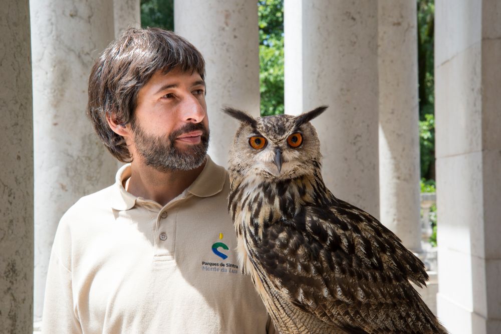 Owl with handler